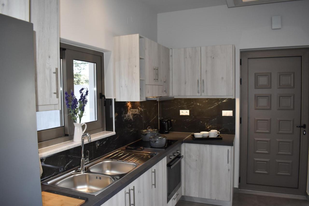 Athina'S Cozy House Apartment Sfakianalion Bagian luar foto