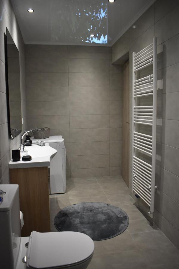 Athina'S Cozy House Apartment Sfakianalion Bagian luar foto